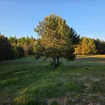 בית נופש Warminska Polana - Nowy, Caloroczny Dom Na 2 Ha Lace Dla 8 Osob - Gietrzwałd