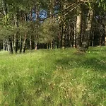 Warminska Polana - Nowy, Caloroczny Dom Na 2 Ha Lace Dla 8 Osob - בית נופש