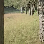 Warmińska Polana - Nowy, Całoroczny Dom Na 2 Ha łące Dla 8 Osób - *