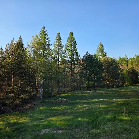 Warminska Polana - Nowy, Caloroczny Dom Na 2 Ha Lace Dla 8 Osob - Hébergement de vacances Gietrzwałd