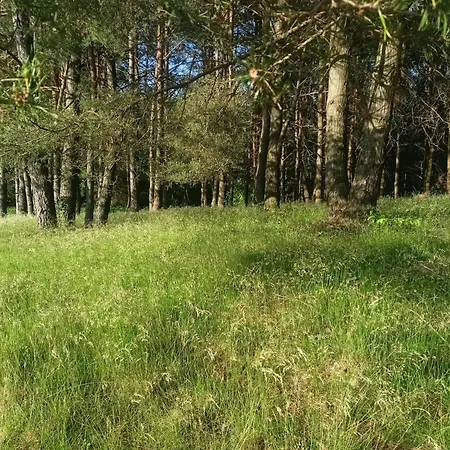 Warminska Polana - Nowy, Caloroczny Dom Na 2 Ha Lace Dla 8 Osob - Prázdninový dům