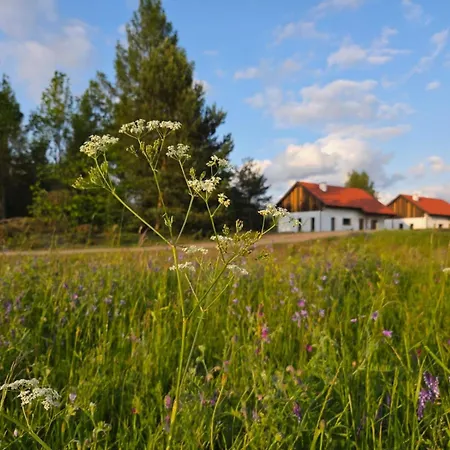 Holiday home Warminska Polana Dom Dla 8 Osob W Sercu Natury - *