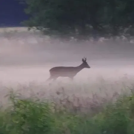 Hébergement de vacances Warminska Polana - Nowy, Caloroczny Dom Na 2 Ha Lace Dla 8 Osob - Gietrzwałd