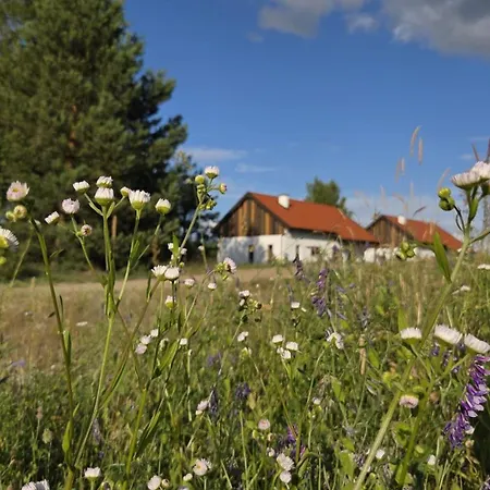 Prázdninový dům Warminska Polana - Nowy, Caloroczny Dom Na 2 Ha Lace Dla 8 Osob - Gietrzwałd