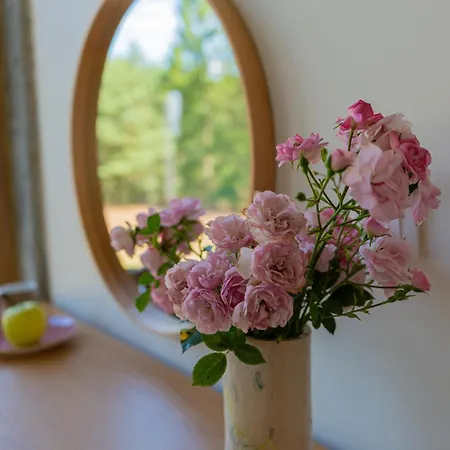 Warminska Polana - Nowy, Caloroczny Dom Na 2 Ha Lace Dla 8 Osob - Hébergement de vacances *