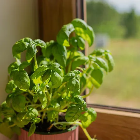 Prázdninový dům Warminska Polana - Nowy, Caloroczny Dom Na 2 Ha Lace Dla 8 Osob - Gietrzwałd