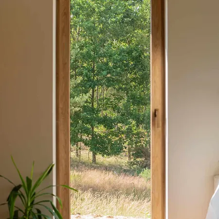 Warminska Polana - Nowy, Caloroczny Dom Na 2 Ha Lace Dla 8 Osob - Prázdninový dům Gietrzwałd