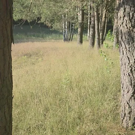 Warmińska Polana - Nowy, Całoroczny Dom Na 2 Ha łące Dla 8 Osób - *