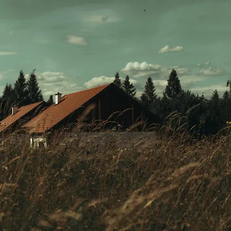 Warminska Polana - Nowy, Caloroczny Dom Na 2 Ha Lace Dla 8 Osob - *