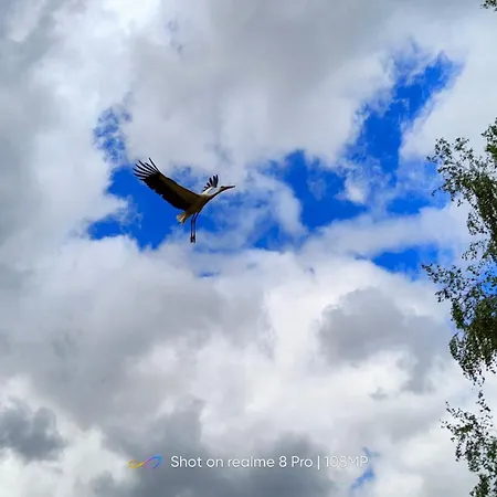 Warminska Polana - Nowy, Caloroczny Dom Na 2 Ha Lace Dla 8 Osob - * Gietrzwałd