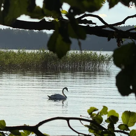 Warminska Polana - Nowy, Caloroczny Dom Na 2 Ha Lace Dla 8 Osob - Prázdninový dům