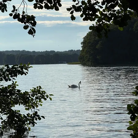 Warminska Polana - Nowy, Caloroczny Dom Na 2 Ha Lace Dla 8 Osob - *